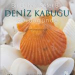 Bir Dahaki Sefer DENİZ KABUĞU GÖRDÜĞÜNDE - Next Time You See a Seashell