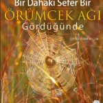 Bir Dahaki Sefer ÖRÜMCEK AĞI GÖRDÜĞÜNDE - Next Time You See a Spiderweb