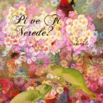Pi ve Fi Nerede?