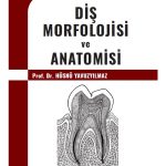 Diş Morfolojisi ve Anatomisi - Prof. Dr. Hüsnü YAVUZYILMAZ 10. Baskı